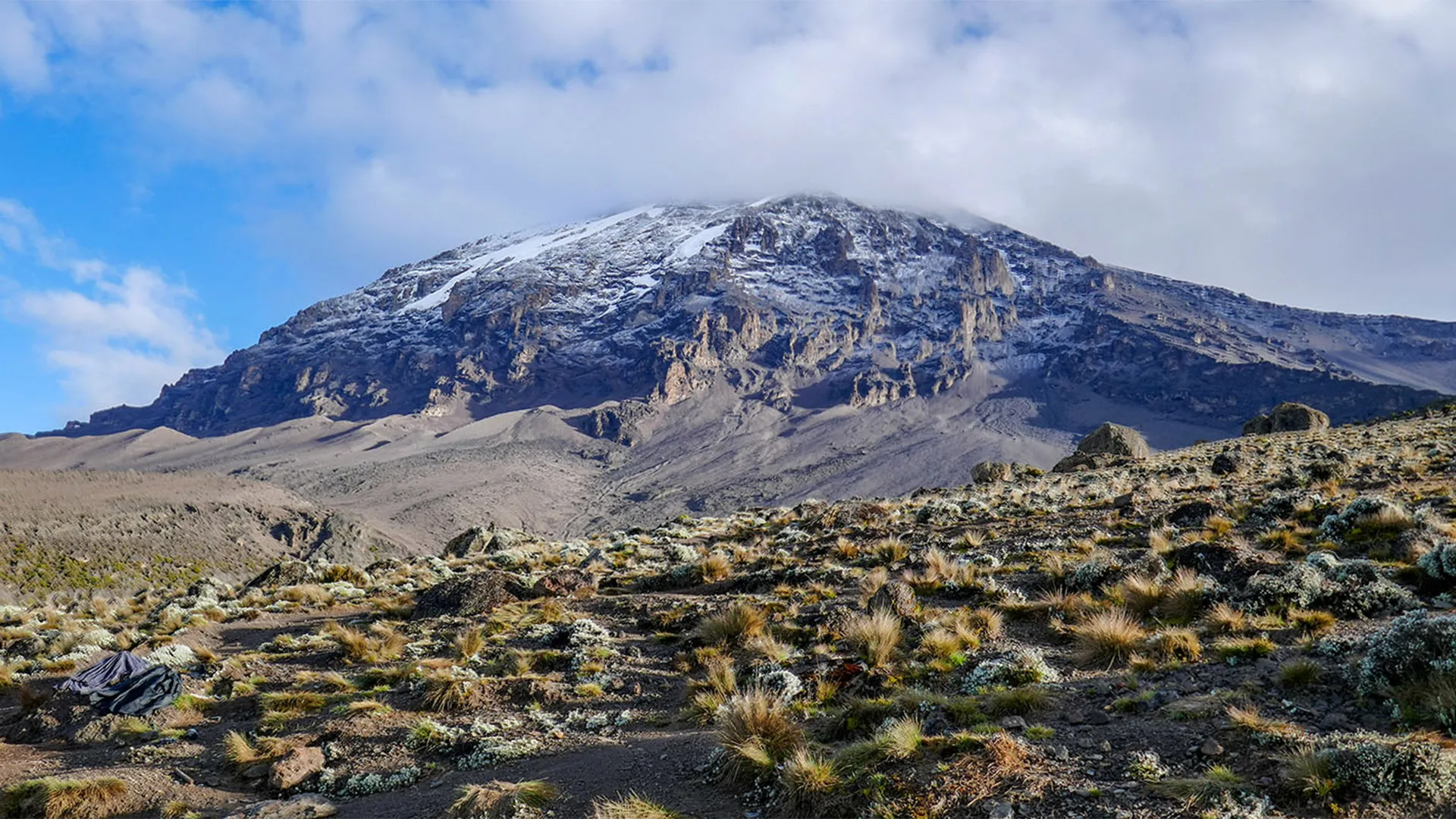 8 Days Lemosho Route Kilimanjaro Trek