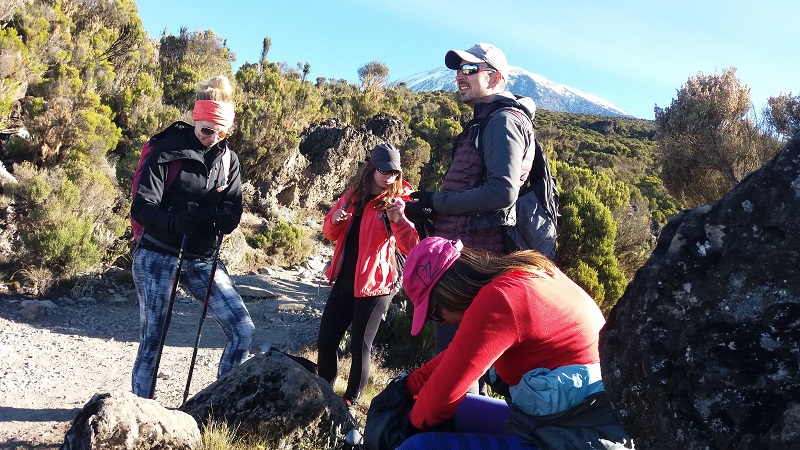 7-Days Rongai Route Trek